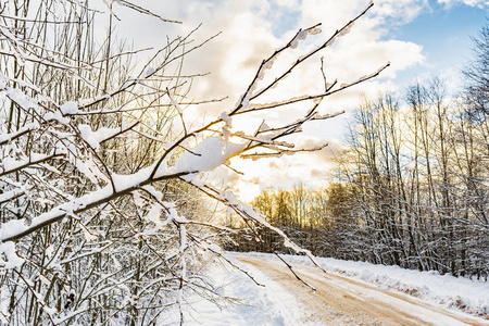 一条乡间的雪路与雪堆在路边, 树枝上覆盖着白雪帽, 冬日的森林照亮了白昼的阳光