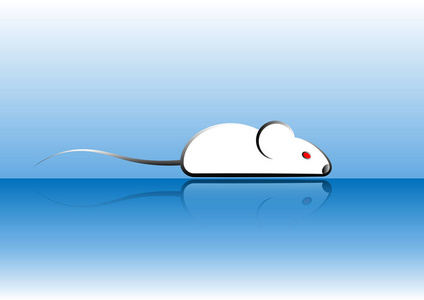 一个白色的鼠标 icone 为网页和打印时尚图标。简约的象征啮齿动物鼠或鼠的家, 向量孤立或蓝色背景