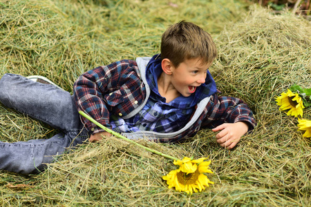 放松。小孩子在干草棚里放松。小孩子躺在乡下的干草棚里。放松的好方法