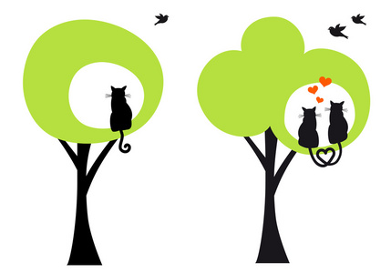 猫树图片-猫树素材-猫树插画-摄图新视界