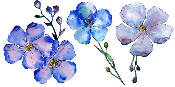 蓝色的水彩花卉背景水彩蓝色亚麻花.花卉植物花.独立的插图元素.