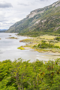 小径, 森林和 Lapataia 湾, 火地岛国家公园