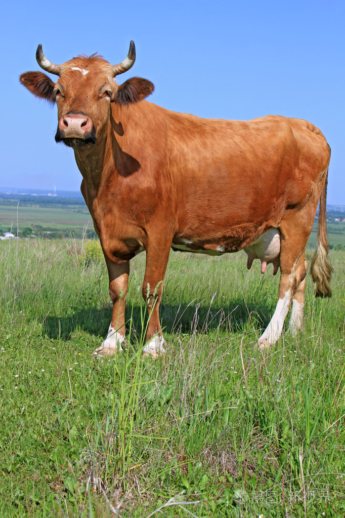 682_1023竖版 竖屏