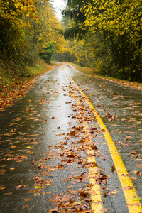 湿多雨的秋天天叶秋天两车道公路旅行