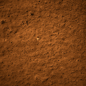 背景, 年轻的春天叶子, 绿色芽水滴中的泥土胡萝卜蔬菜种植采用指已