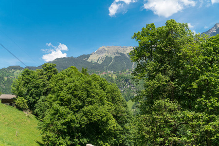 瑞士劳特布龙嫩区施特歇尔贝格附近的瑞士阿尔卑斯山景观, 欣赏壮观的山景和远足小径