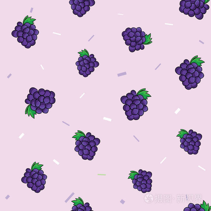 在紫罗兰色背景下的葡萄新鲜多汁蓝束的图案集.矢量插图