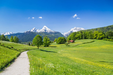 在阿尔卑斯山，国家公园 Berchtesgadener 土地，巴伐利亚，德国田园风景