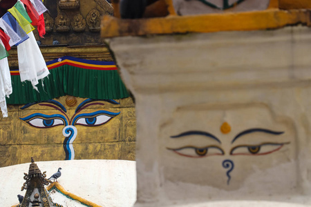 藏族服装尼泊尔加德满都的佛眼照片