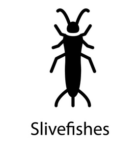 长天线描绘 silverfishes 的无翅昆虫