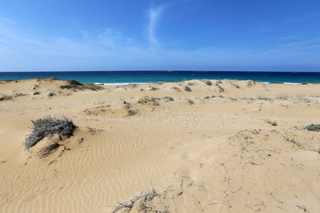 在遥远的北方的以色列国地中海的海岸