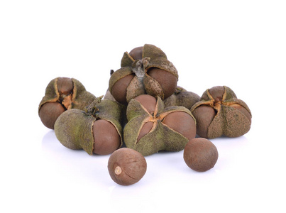 茶籽, 花, 叶白色背景茶籽, 花, 叶白色背景推荐