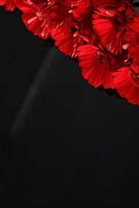 非洲菊有一个大的美丽的花序是一个美妙的装饰任何捆绑或装饰与切花