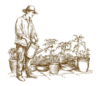 人浇水的植物。手绘插图