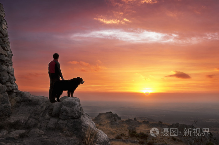 男人和狗在黎明