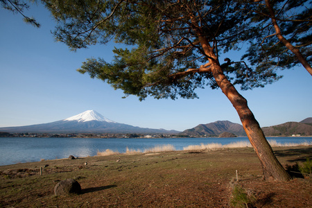 从湖山富士视图