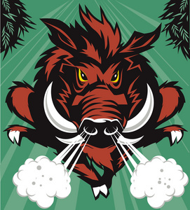 运行的野猪体育吉祥物图片