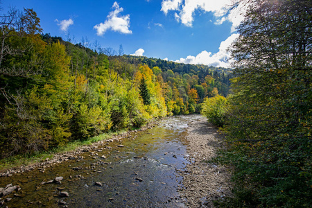 Bieszczady 的山溪