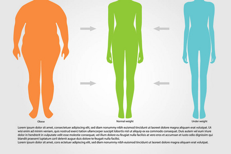 Bmi 或体质量指数图表图. 矢量图示