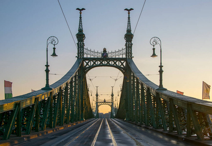 美丽的景色在布达佩斯自由桥