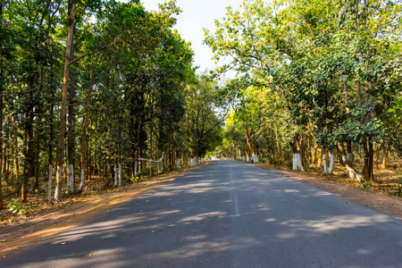 路是自由的图片