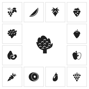 13可编辑水果图标集。包括根菜, 一束花, 苹果和更多的符号。可用于 web移动Ui 和信息设计