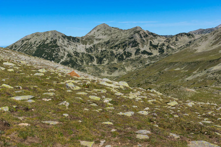 皮林山，保加利亚的令人惊异的夏日风景