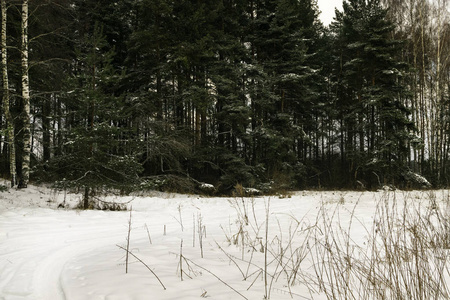 冬天的路, 就在雪落后, 美丽的冬天风景与森林, 雪树和霜冻路