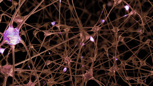 3d. 神经元细胞和突触网络的渲染, 在人脑中信息传递过程中电脉冲和放电通过