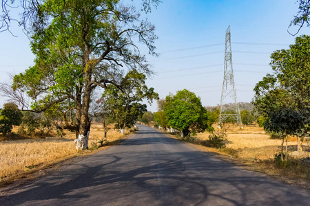 通过电缆农村印度上坡公路公路通过两侧的树木满足天空地平线森林红壤