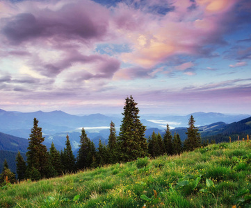 美丽的夏天山风景。日落时山脉的蓝色。戏剧性的场面。乌克兰欧洲艺术图片。软过滤效果