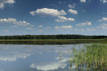 立陶宛 Druskininkai 附近一个阳光明媚的夏日, 在池塘的水面上反射出的蓝天白云