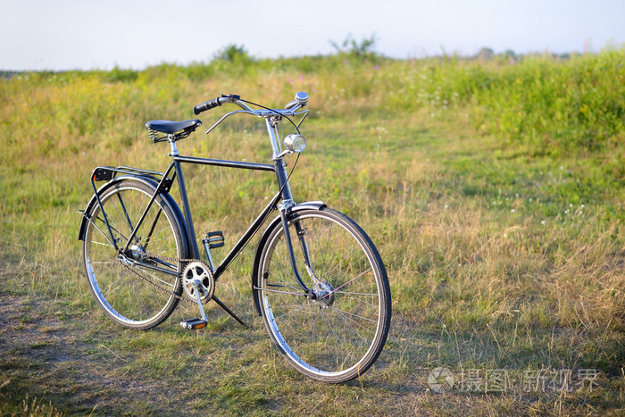 荷兰的老复古自行车上花的领域