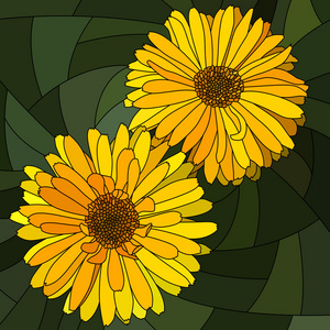 黄色花金盏花矢量插画照片