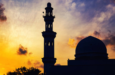 圆顶和清真寺尖塔超过惊人的日出背景