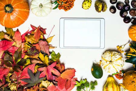 穆迪秋季背景图片与五颜六色的叶子, 南瓜, 栗子白色空白片剂与可用空间作为模板的消息