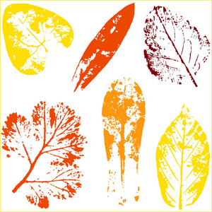 向量枝和叶。手工绘制的花元素。古董植物学插画