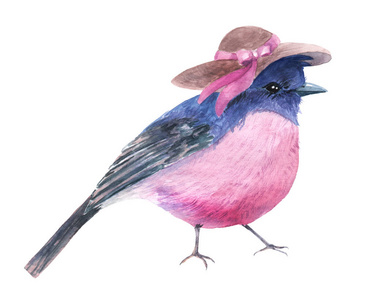 水彩图画的小鸟例证, 素描