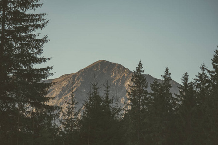 清晨的灯光在山顶上升起, 山上的森林塔特拉在斯洛伐克