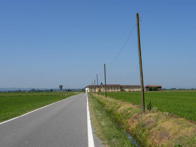 沿着公路从 Lignana 到 Ronsecco, 临近 Vercelli, 意大利山麓, 夏季