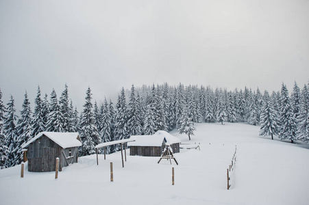 山上 chomiaksalvi 的木屋白雪覆盖的松树