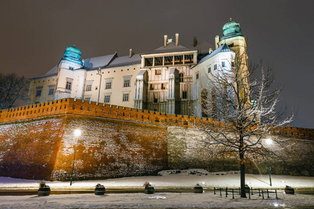 在波兰最著名的地标之一克拉科夫的瓦维尔城堡夜景