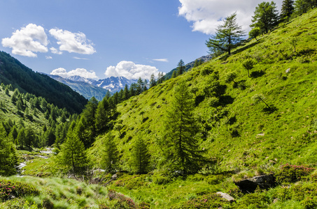 看法与岩石和植被在夏天的意大利北部，伦巴第大区，该区域的布雷西亚美妙山峰，在晴朗的日子阿尔卑斯山