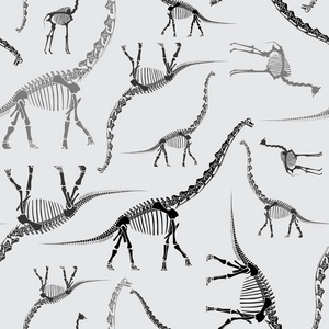 恐龙化石动物园图片-恐龙化石动物园素材-恐龙化石动物园插画-摄图新