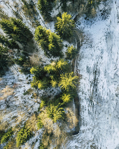 冬季森林的空中摄影