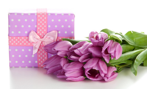 束美丽的紫色郁金香和礼品盒，白色上孤立