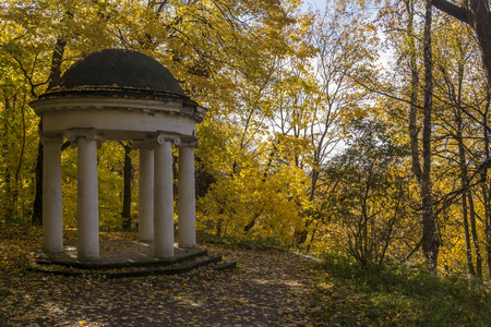 秋季公园的圆形凉亭。高尔基 Leninskie, 列宁丘陵, 俄罗斯, 列宁的最后位置