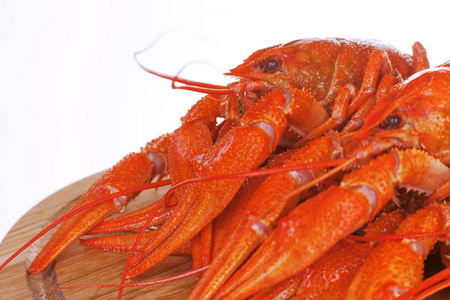 在盘子里煮的小龙虾。红色甲壳纲, 大爪, 白色背景