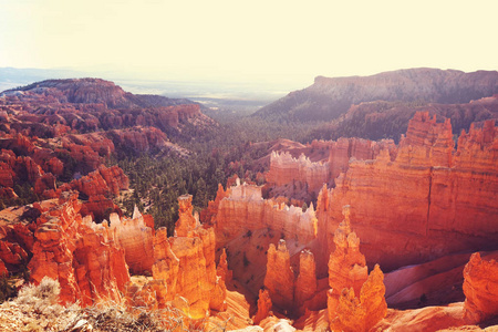 如诗如画彩色的粉红色岩石在美国犹他州布莱斯峡谷国家公园