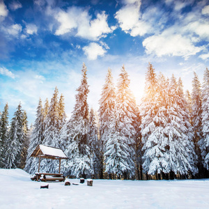 神秘的冬季景观雄伟壮观的山脉。神奇的冬雪覆盖的树。戏剧性的场面。喀尔巴阡山.乌克兰。欧洲